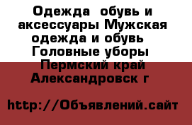 Одежда, обувь и аксессуары Мужская одежда и обувь - Головные уборы. Пермский край,Александровск г.